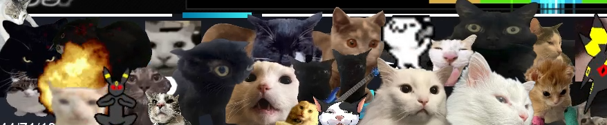 Cats Banner