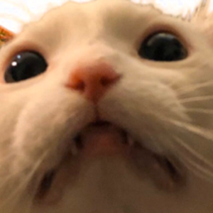 Umbre Profile Picture